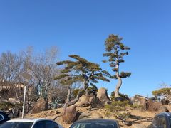 -罗红摄影艺术馆