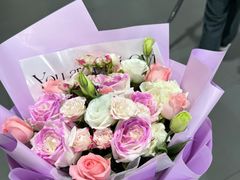 -上海星瀚奔驰4S店(红柳路店)