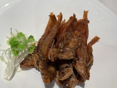 -新雅粤菜馆(南京东路店)