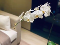 -成都博舍酒店