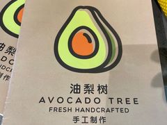 -油梨树AVOCADO TREE(望京店)