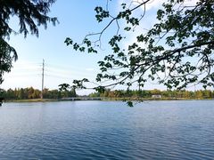 -绍兴镜湖国家城市湿地公园