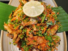 -Ameigo梅果·云贵川bistro(长宁来福士店)