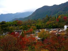 -塔川景区