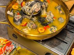 -Darling Queen·Mini·Live·House