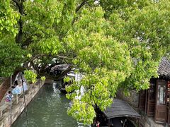 -乌镇东栅景区