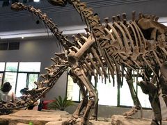 -自贡恐龙博物馆