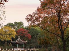 -西园戒幢律寺