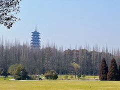 -宜兴龙背山森林公园