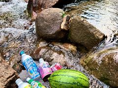 -广州白江湖森林公园