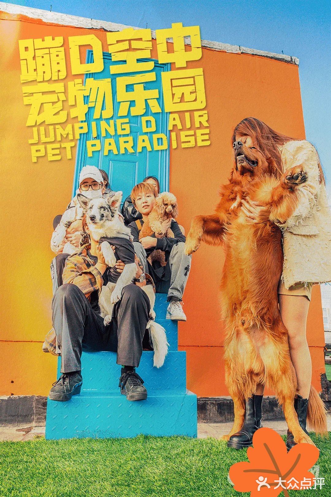 义乌宠物丨义乌首家高空萌宠乐园来啦!