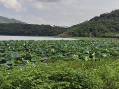 -东钱湖旅游度假区