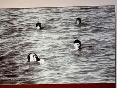 -毛泽东同志旧居