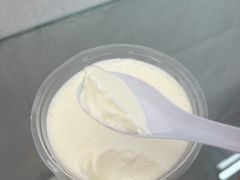 -义顺牛奶公司(新马路老店)