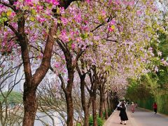 -南丰汇(新港东路店)