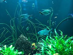 -成都浩海立方海洋公园