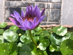 -常德桃花源景区