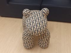 -猫十亿·布偶金渐层·曼基康矮脚猫舍(青年路店)