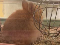 -龙猫仔乐园(惠福东路店)