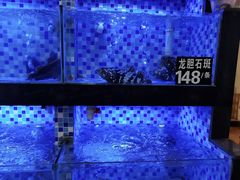 -莲花公园煎蟹(总店)