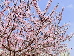 -白塘生态植物园