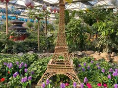 -南宫五洲植物乐园