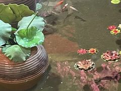-即墨印象