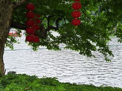 -荔湾湖公园