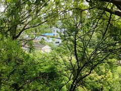 -孤山景区-孤山寺