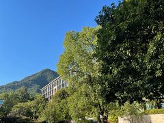 -逸廊大堂吧-下午茶·简餐-千岛湖自由洲际殿