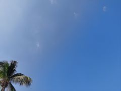 -三亚海棠湾万丽度假酒店