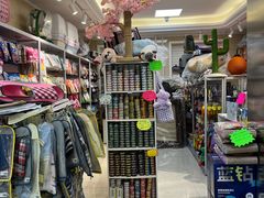 -北京观赏动物医院·24小时大型综合·猫专科·异宠专科