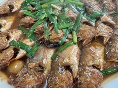 -日丰园海肠水饺·老字号大连海鲜(小平岛总店)