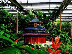 -南宫五洲植物乐园