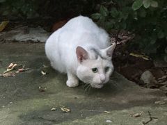 -南京工程学院(江宁校区)