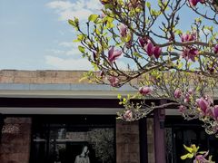 -丽江悦榕庄酒店-明月·雪山庭院餐厅