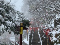 -塔云山