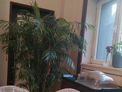 -云腾食府·云南菜
