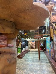 -卡通尼·Safari非洲探索乐园·生日会(金桥国际商业广场店)