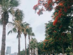 -鼓浪屿·八卦楼