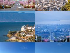 -大理.老字号渝记酸萝卜乌鱼(古城总店)