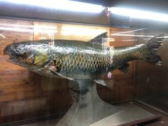 -南京金牛湖风景区