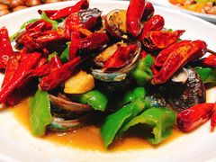 船歌辣炒小鲍鱼-船歌·鱼水饺青岛菜(闽江二路店)