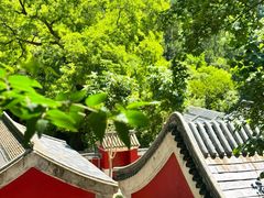 -北京上方山国家森林公园