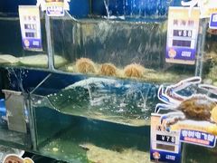 -小船渔村•大连菜•大连焖鱼(明泽街店)