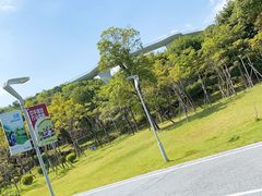 -飞凤山奥体公园