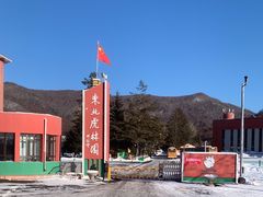 -横道河子东北虎林园
