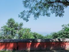 -阳台山自然风景区