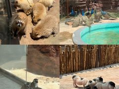 -福州罗源湾海洋世界旅游区
