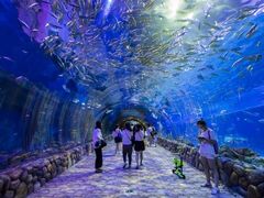 -华夏文旅海洋公园